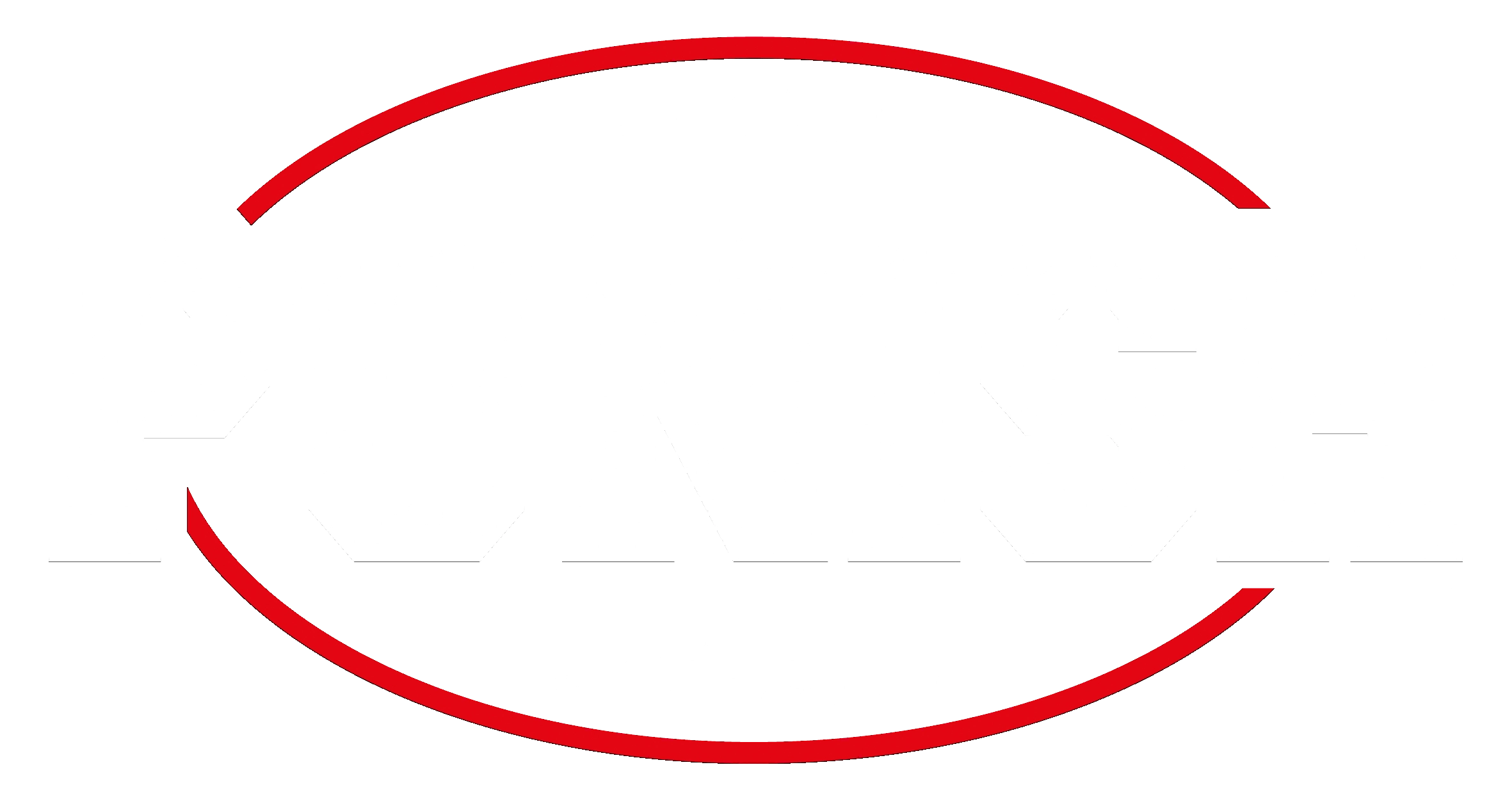 punish logo